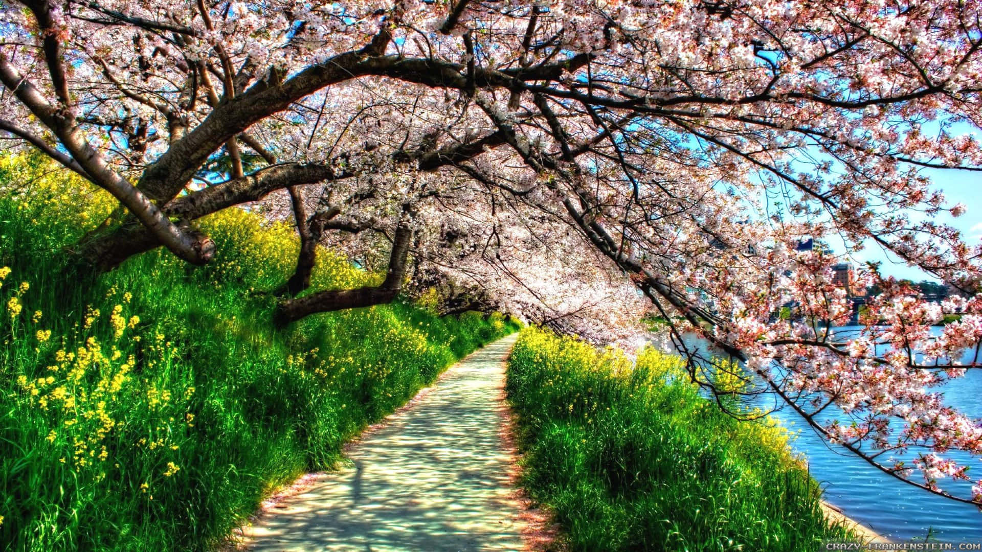 Take a Stroll in the Spring Time