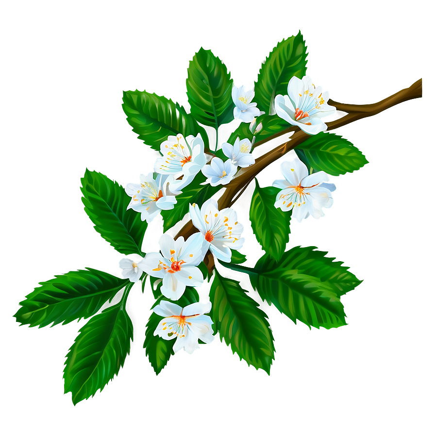 Spring Tree Branch Png 45 PNG