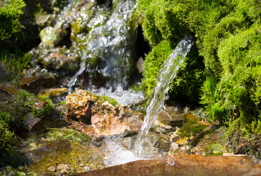 Refreshing Spring Water Flowing in a Natural Environment Wallpaper