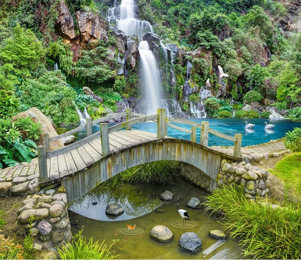 Crystal clear spring water flowing through lush green forest Wallpaper