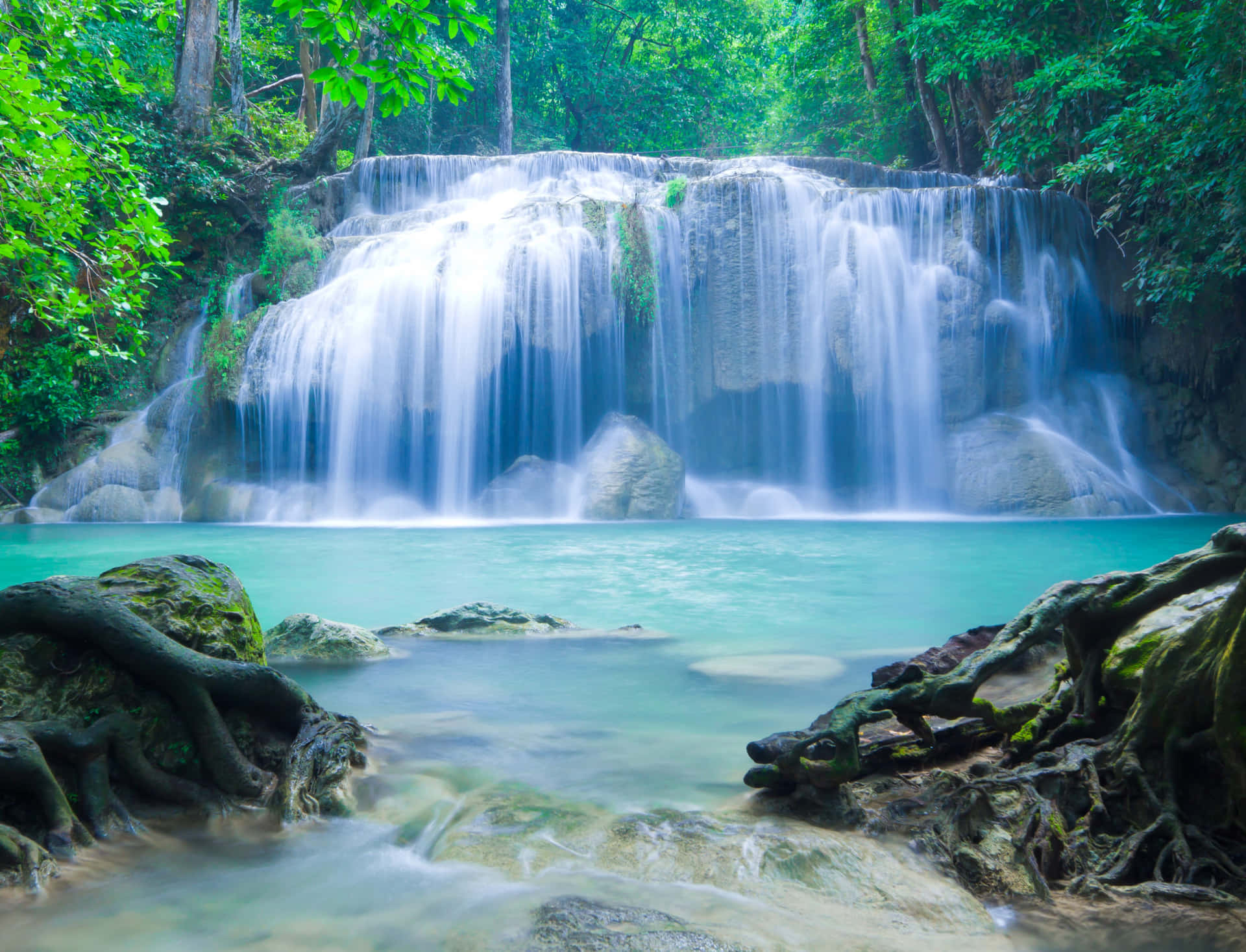 Natural Spring Water Flowing through Lush Green Scenery Wallpaper