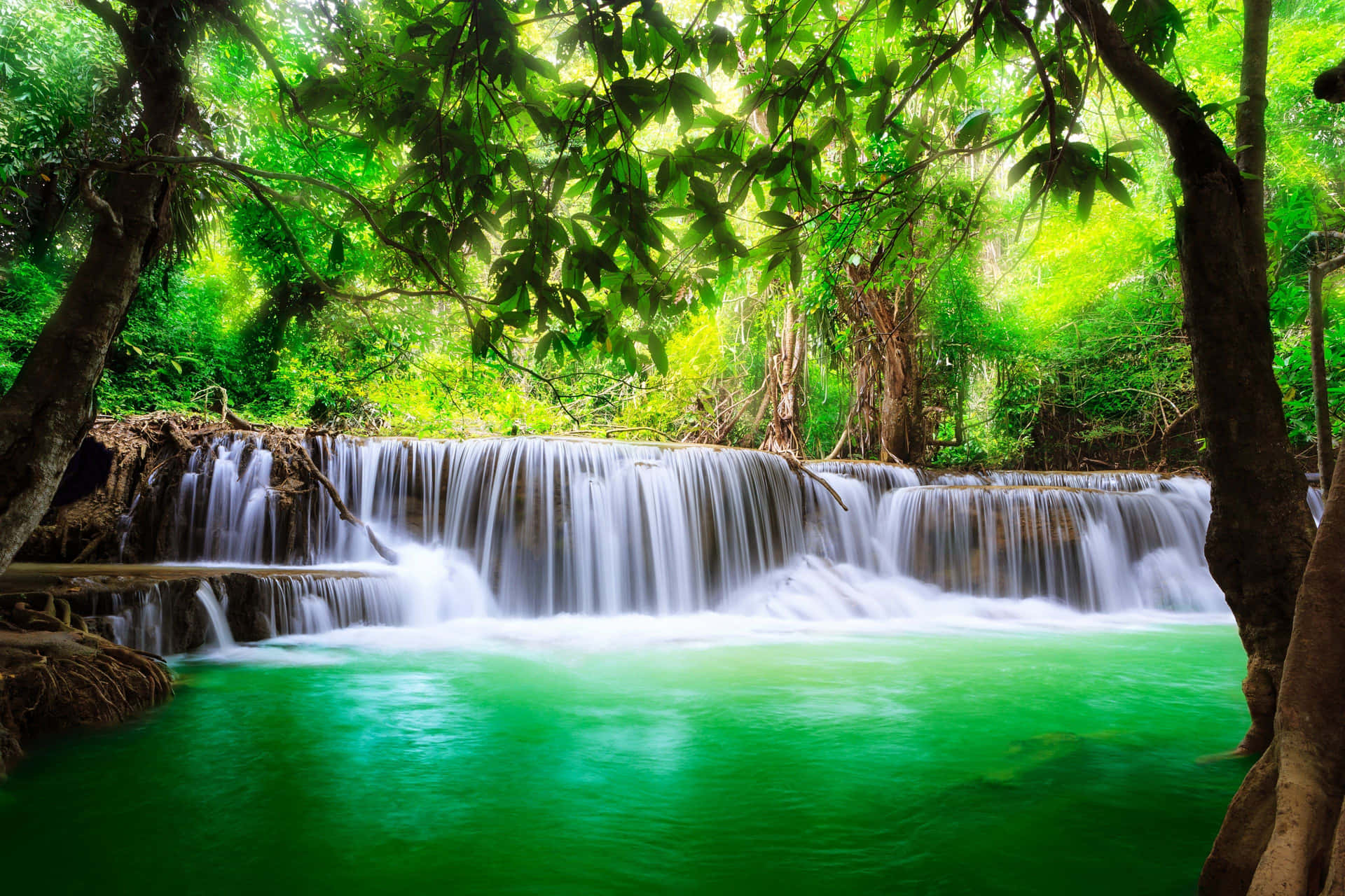Water gushing out from a natural spring in the forest Wallpaper