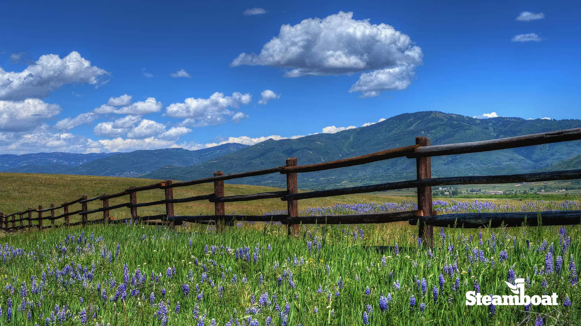 Tag et snap af Steamboat Springs Colorado denne forår med dette zoom baggrundsbillede.