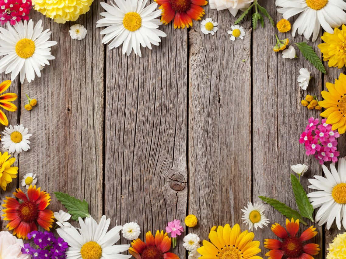 Vibrant Have Blomsterramme Forår Zoom Baggrund: