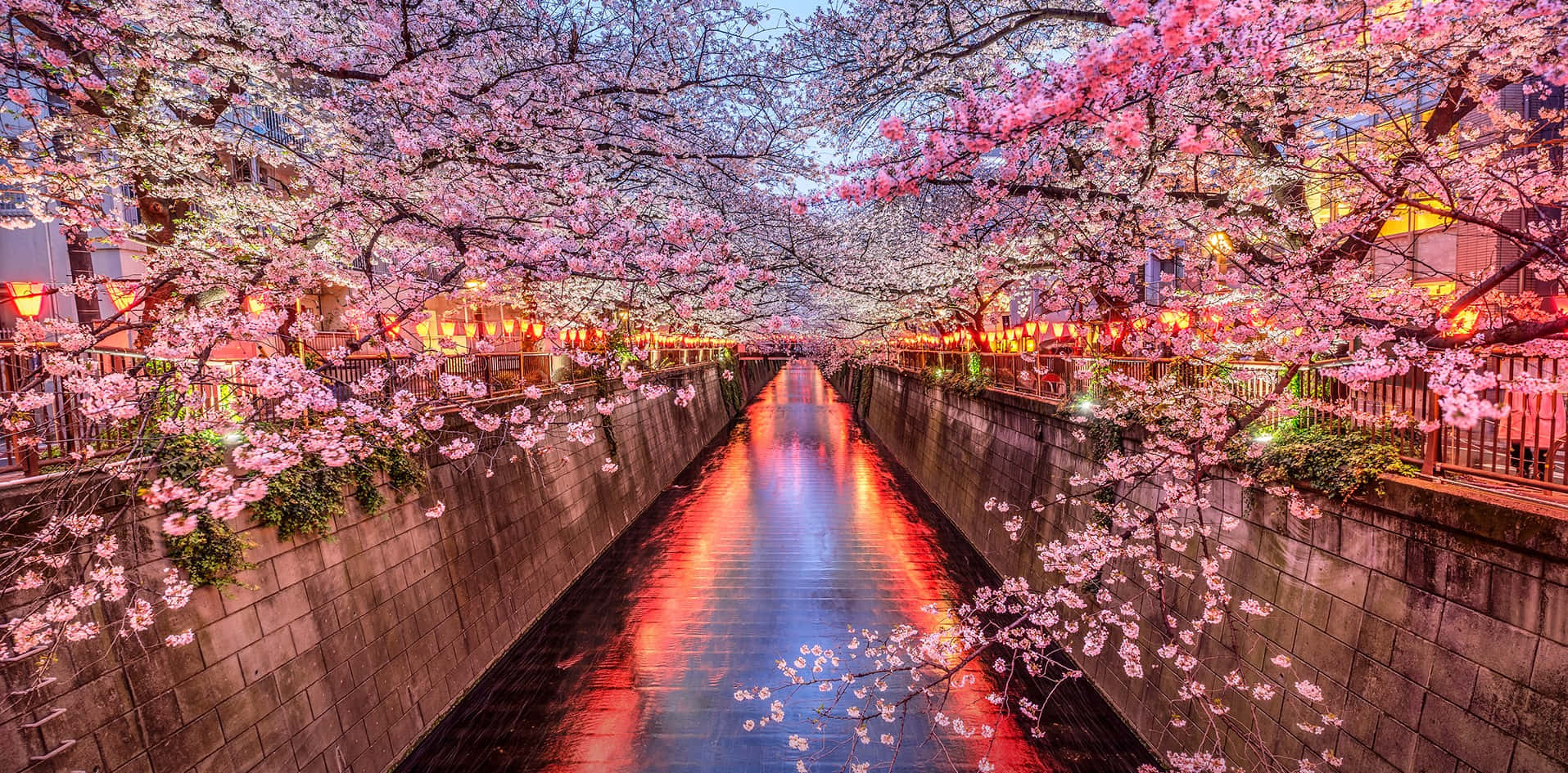 Megurokanalen I Japan Våren Zoom-bakgrund.