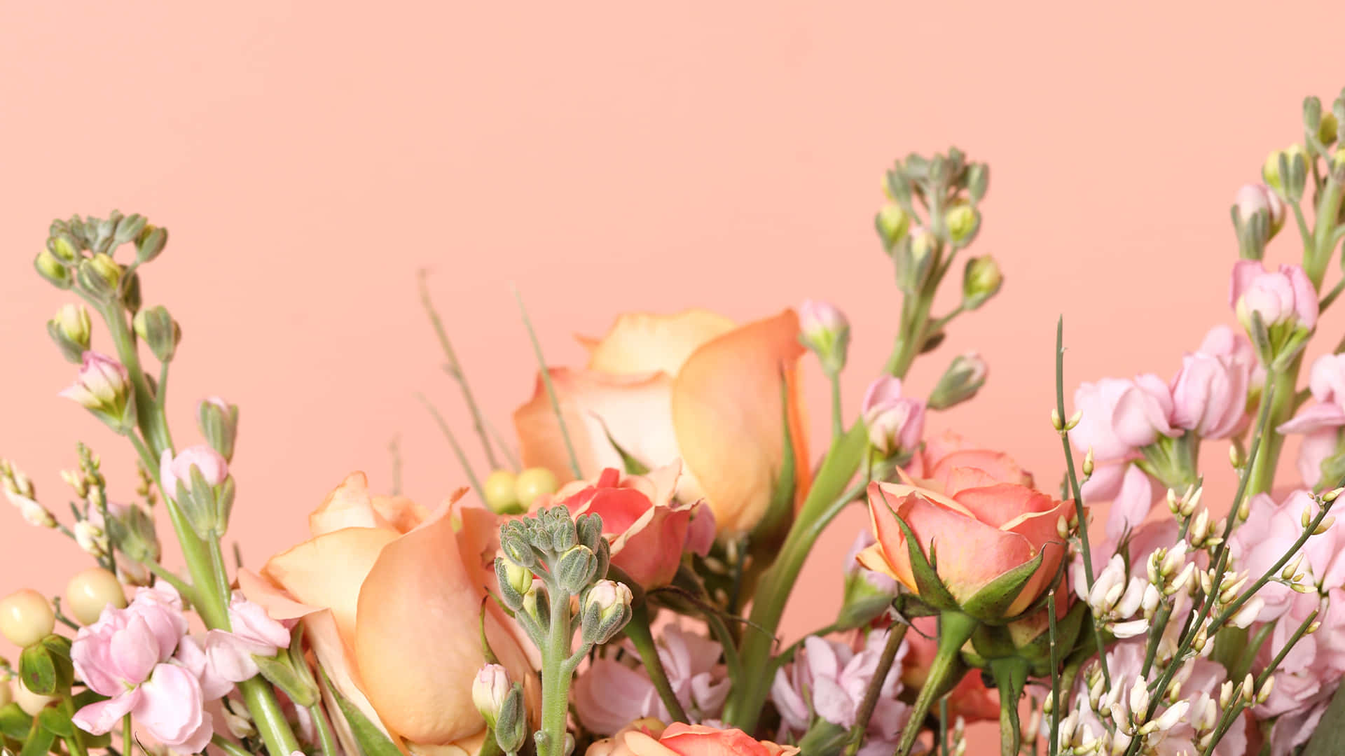 Hintergrundbildfür Zoom Mit Einem Strauß Rosa Rosen Im Frühling