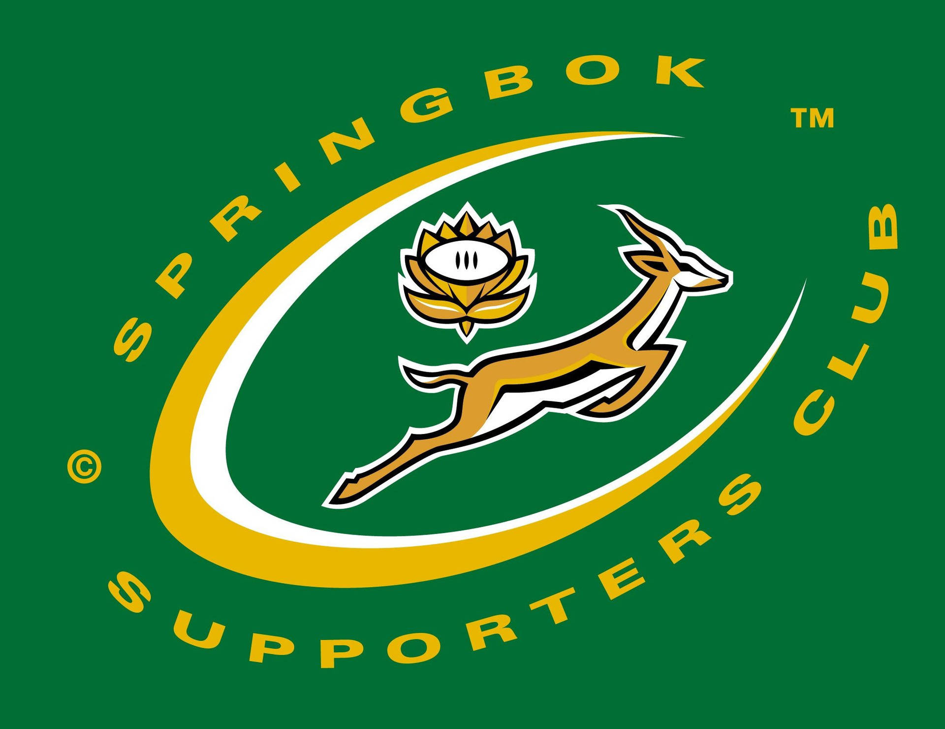 Springbok Rugby Supporters Logo