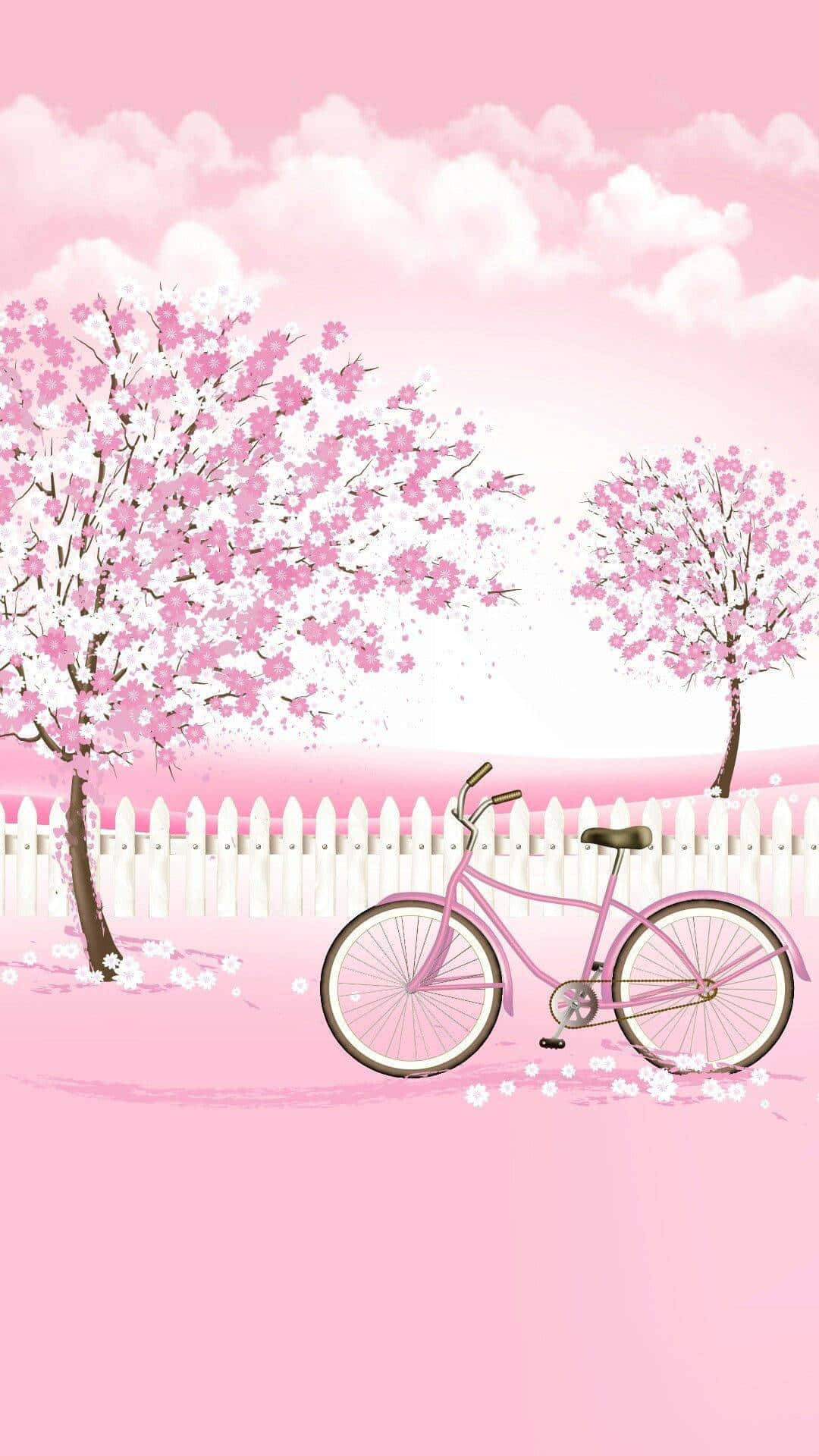Springtime Bicycle Pink Blossoms Wallpaper