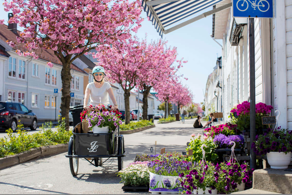 Springtime Bike Ridein Kristiansand Wallpaper