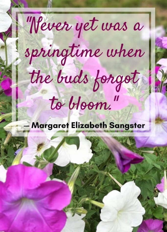 Springtime Blooms Inspirational Quote Wallpaper