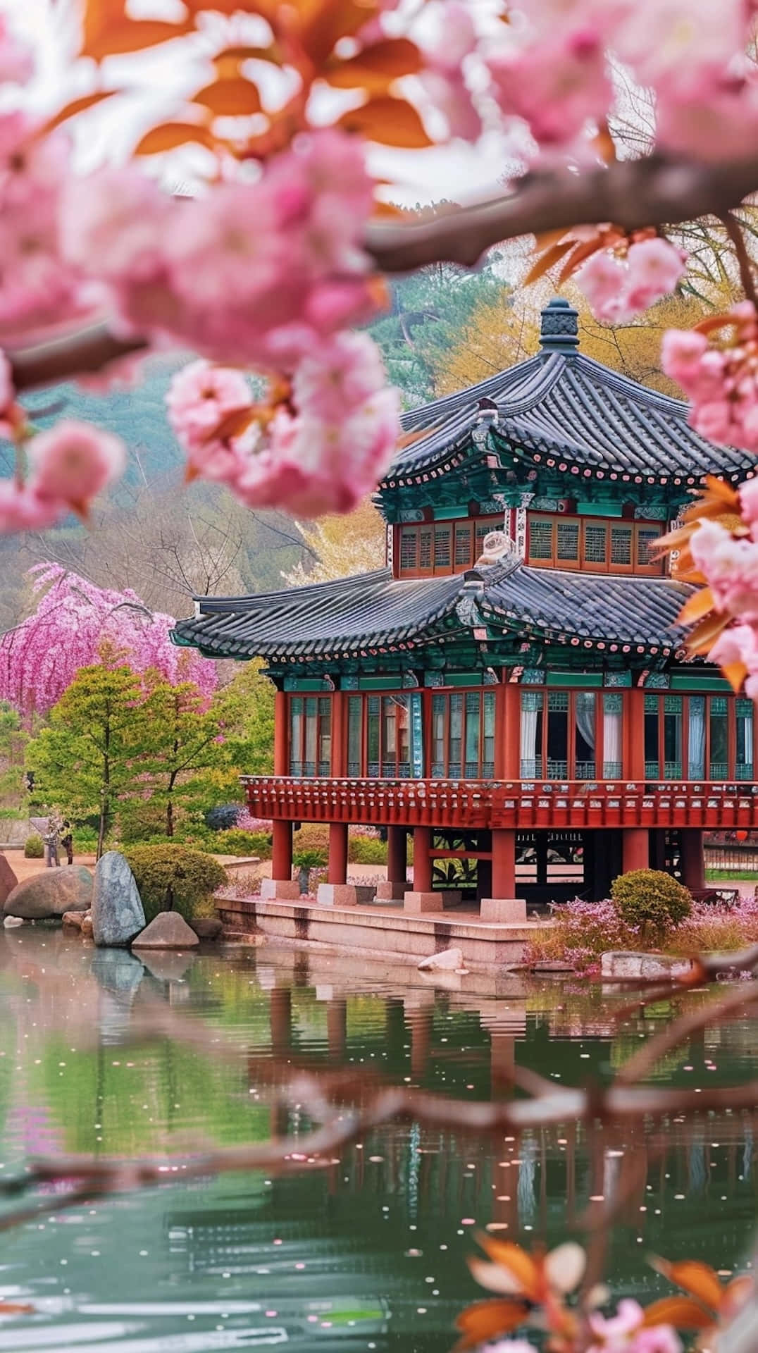 Springtime_ Blossoms_at_ Traditional_ Pavilion.jpg Wallpaper