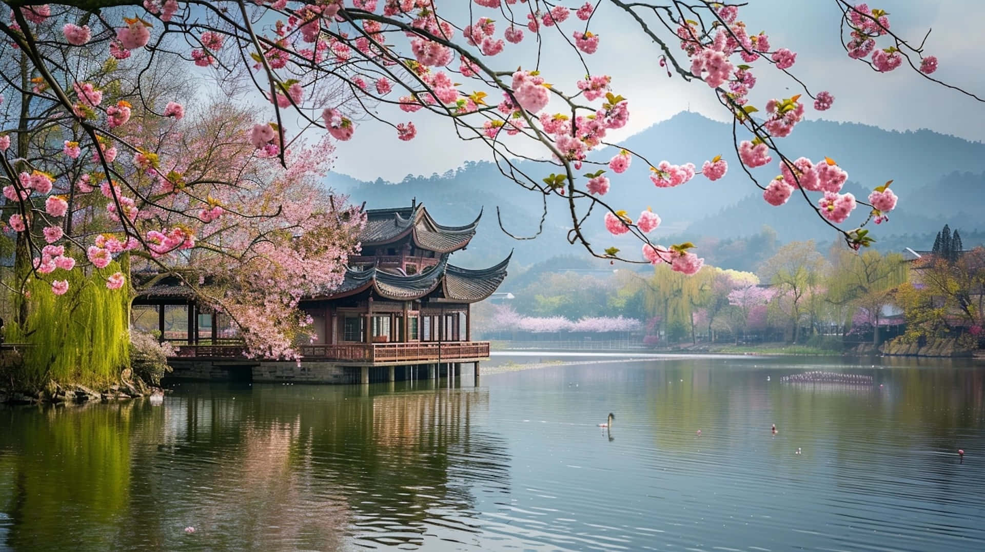Springtime_ Blossoms_by_ Lake Wallpaper