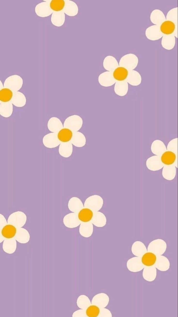 Springtime Daisy Pattern Purple Background Wallpaper