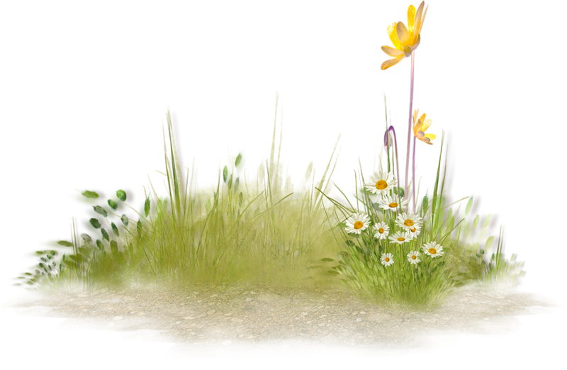 Springtime Grass Island Floral Scene PNG