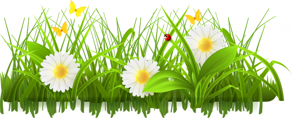 Springtime Meadow Scene PNG