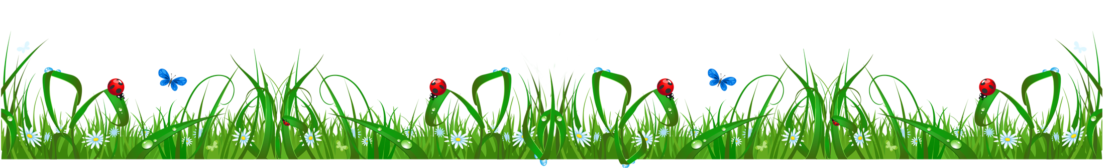 Springtime Meadow Scene PNG