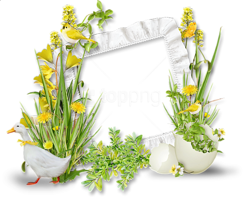 Springtime Nature Photo Frame PNG