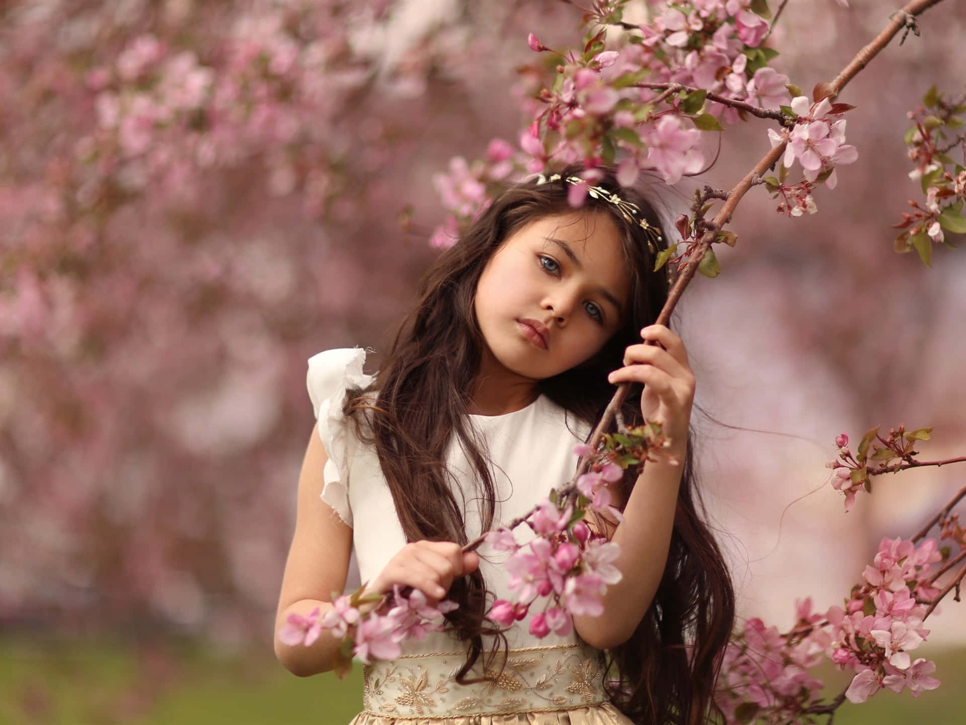 Springtime Portrait Young Girl Blossoms Wallpaper
