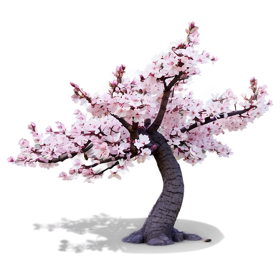 Springtime Sakura Tree Scenery Png Llu PNG