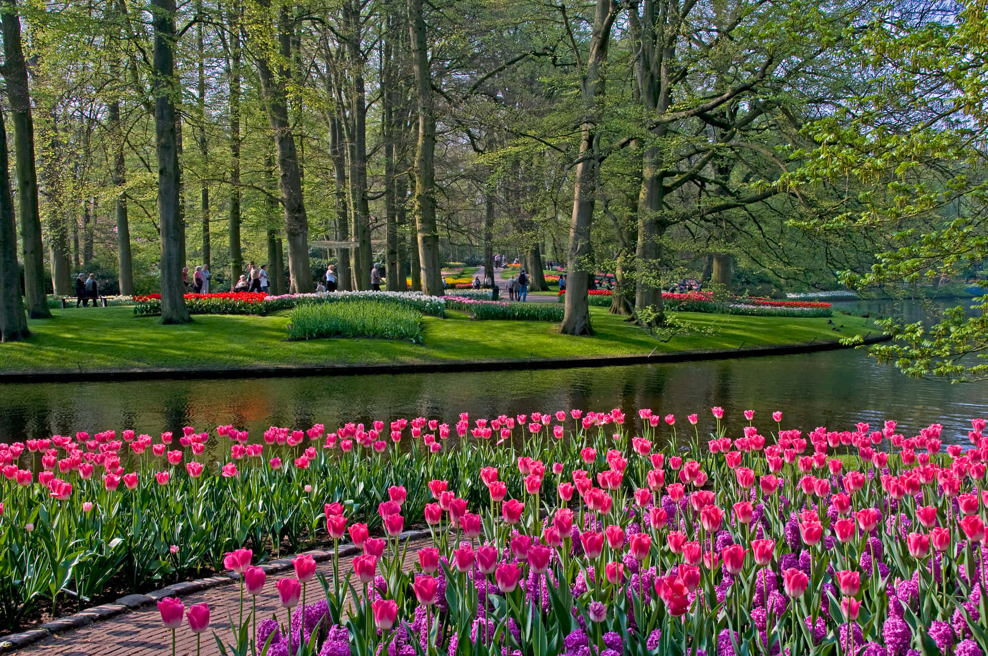 Springtime Tulip Garden Park Scene Wallpaper
