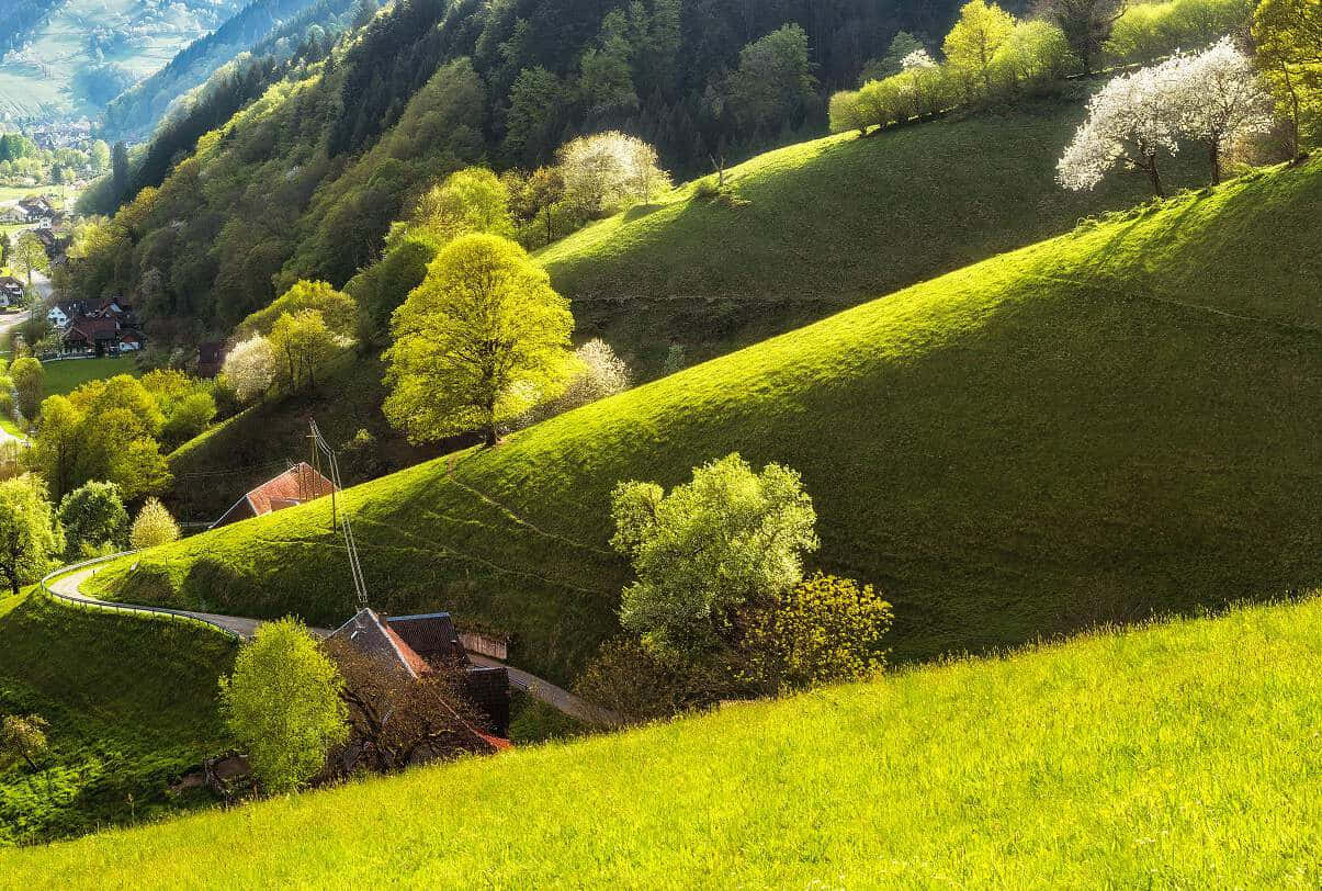 Lente In Baden Zwitserland Heuvels Achtergrond