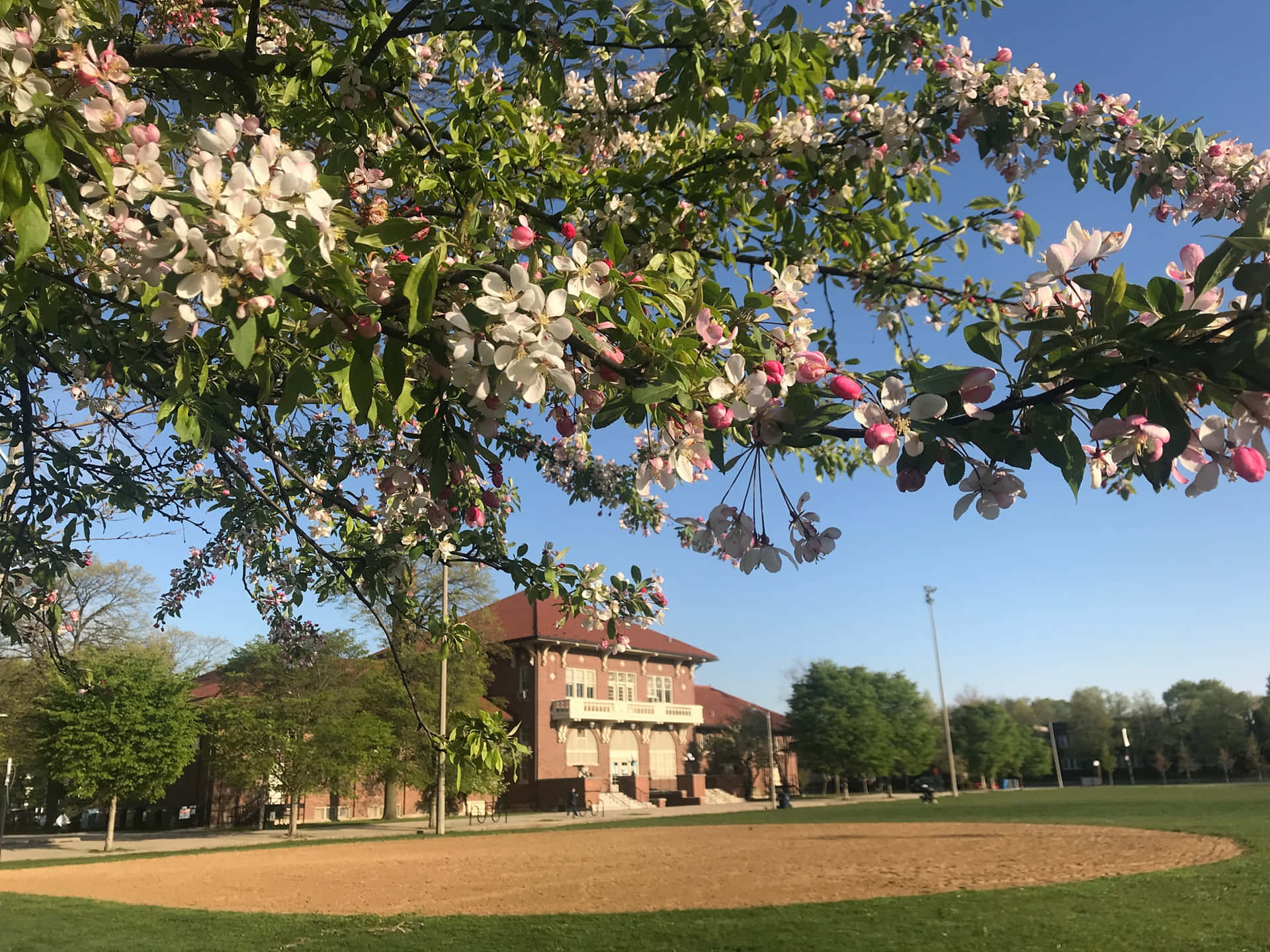 Lente In Onafhankelijkheidspark Achtergrond