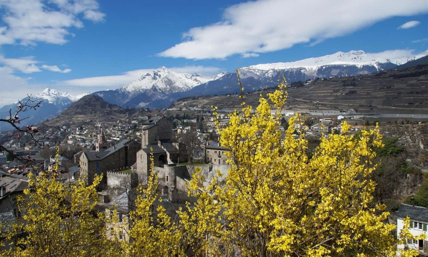 Springtimein Sion Switzerland Wallpaper