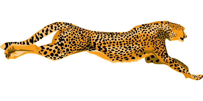 Sprinting Cheetah Illustration PNG