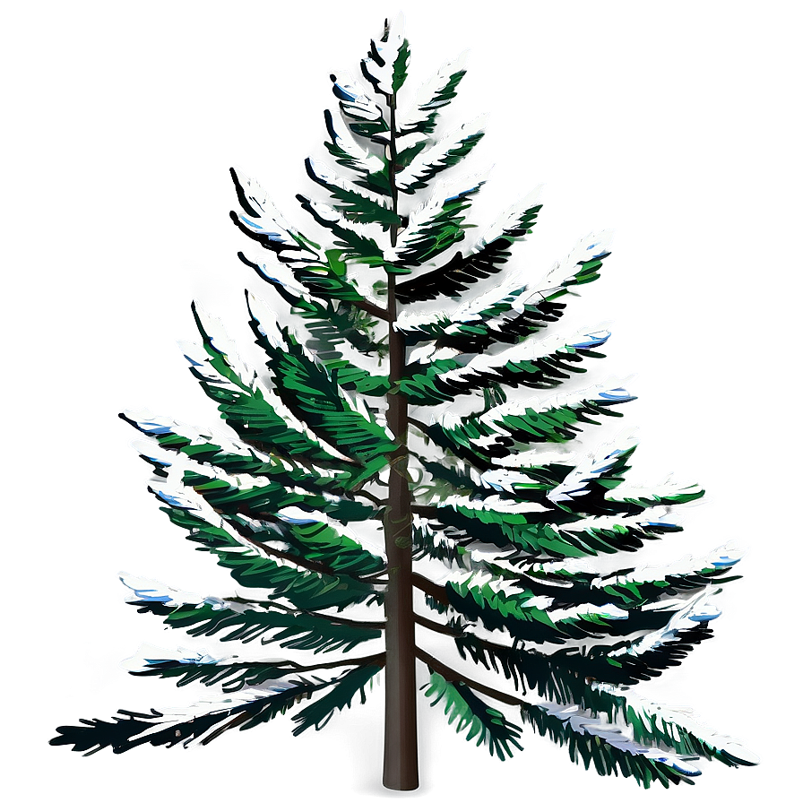 Spruce Tree Forest Landscape Png Qts99 PNG