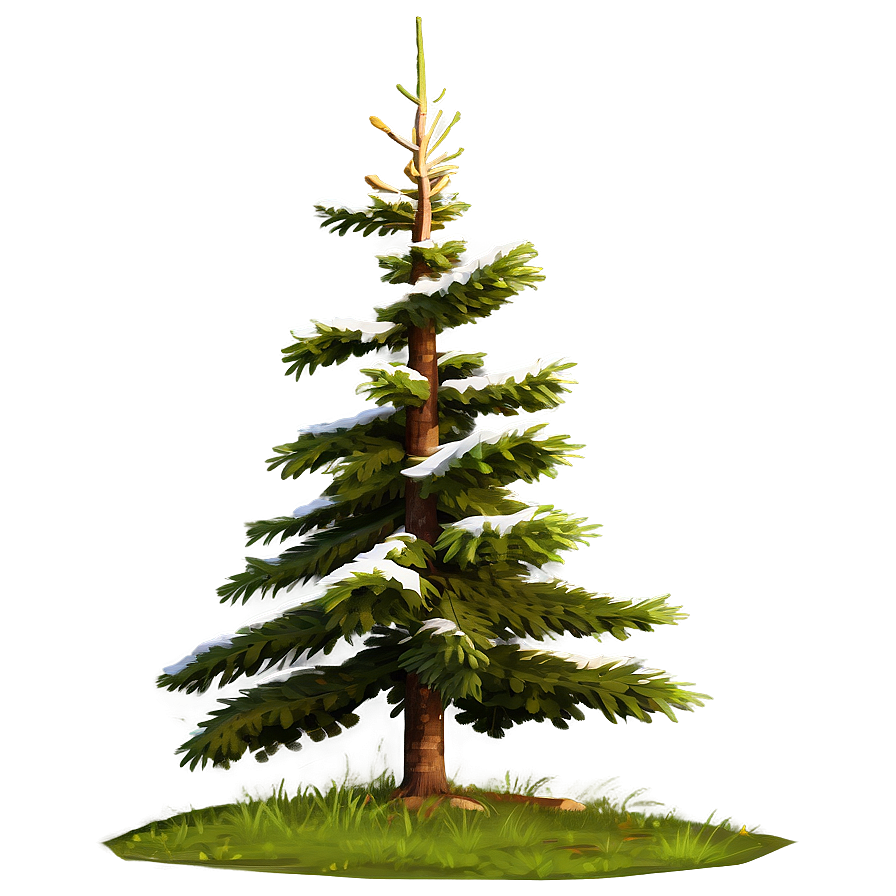 Spruce Tree In Alpine Environment Png Uwt PNG