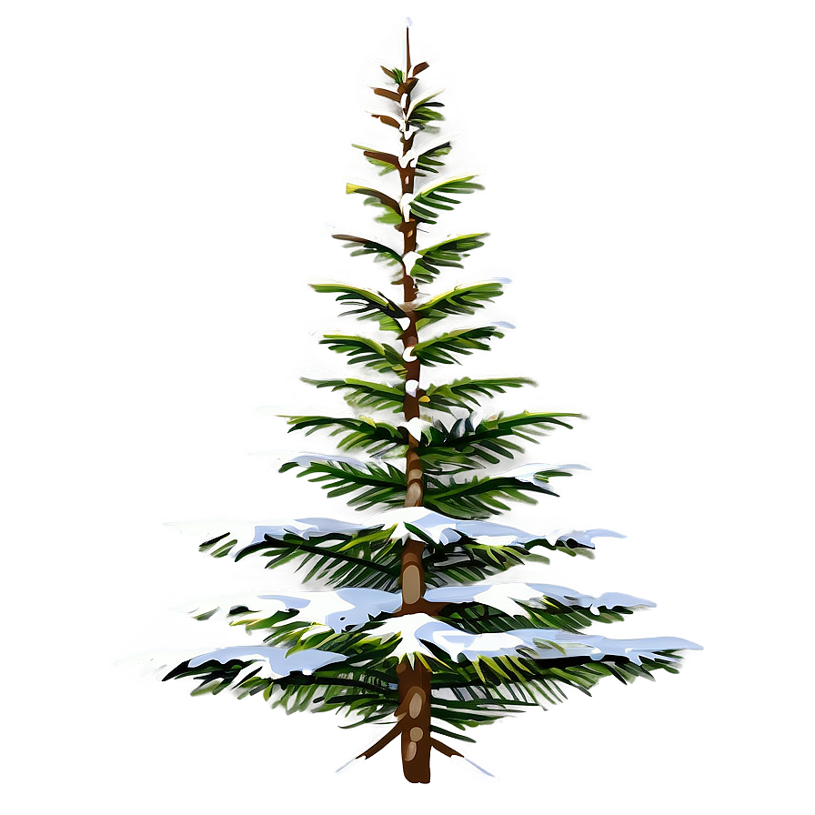 Spruce Tree In Alpine Environment Png Wdo60 PNG