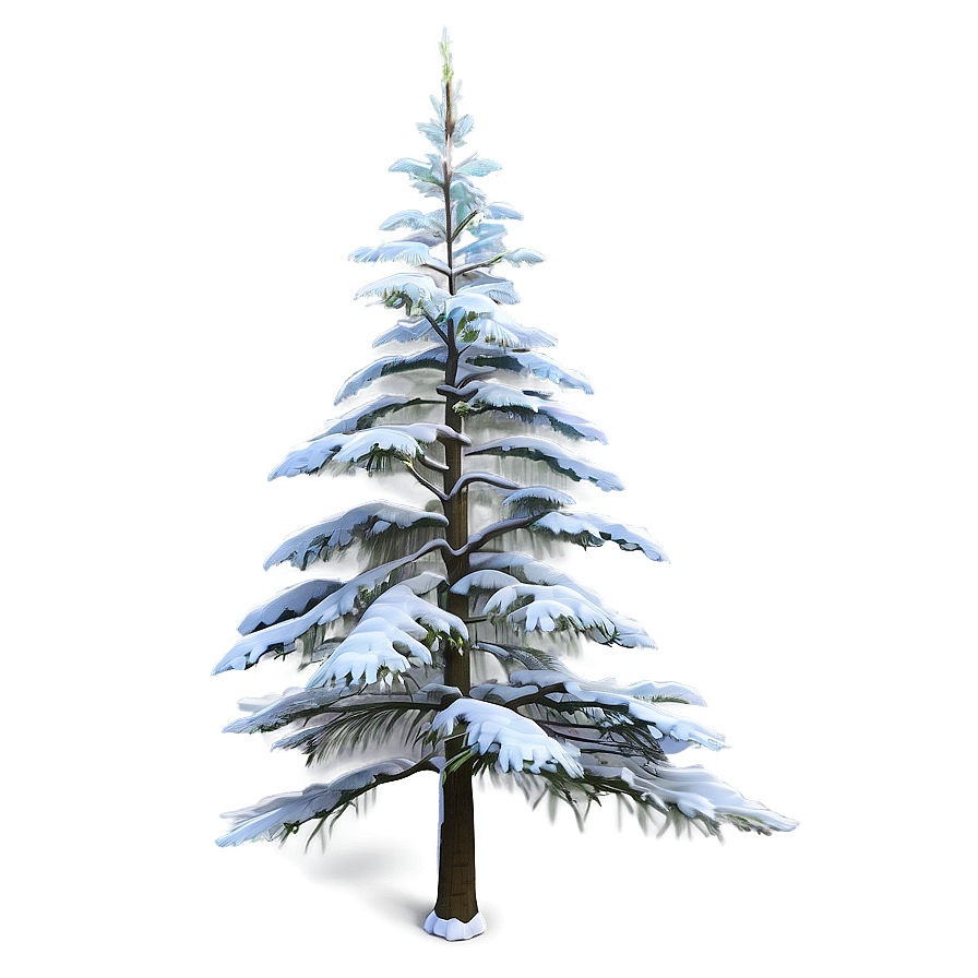 Spruce Tree In Blossom Png Wov90 PNG
