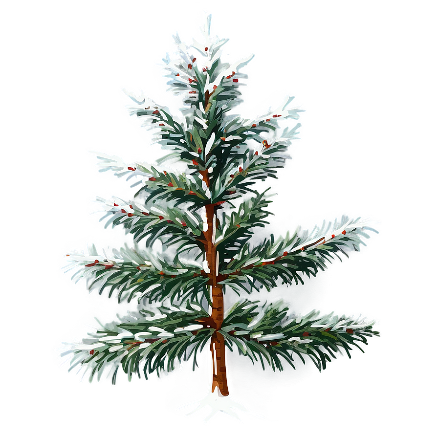 Spruce Tree In Foggy Weather Png 06132024 PNG
