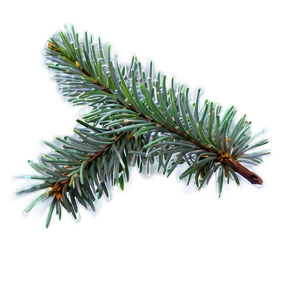 Spruce Tree In Foggy Weather Png Lfb PNG