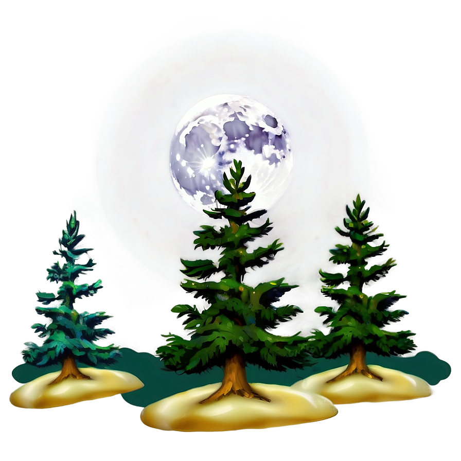Spruce Tree In Full Moon Light Png 11 PNG