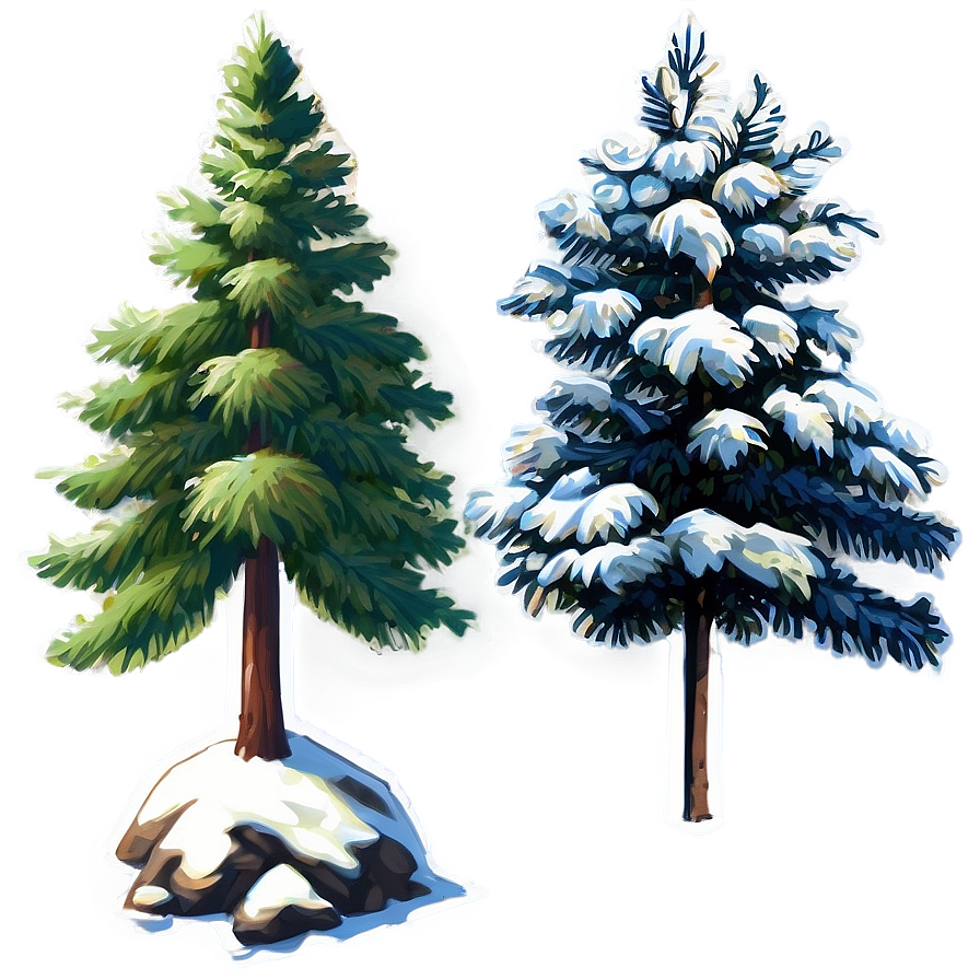 Spruce Tree In Mountainous Terrain Png 06132024 PNG