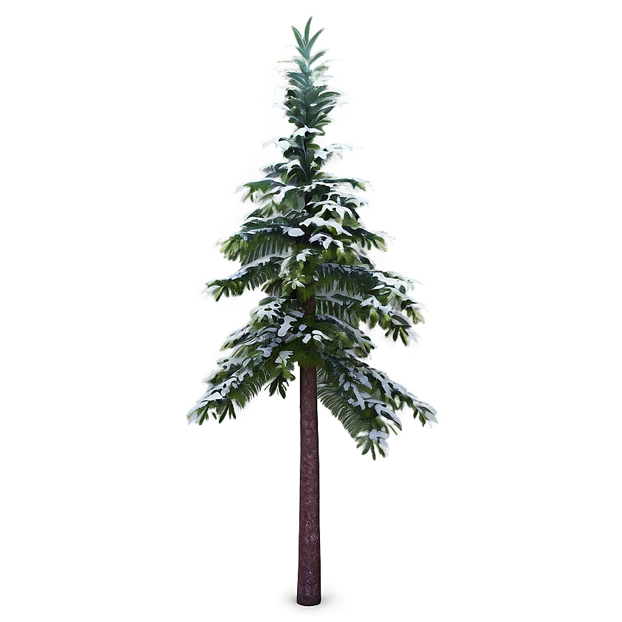 Spruce Tree In Mountainous Terrain Png 69 PNG