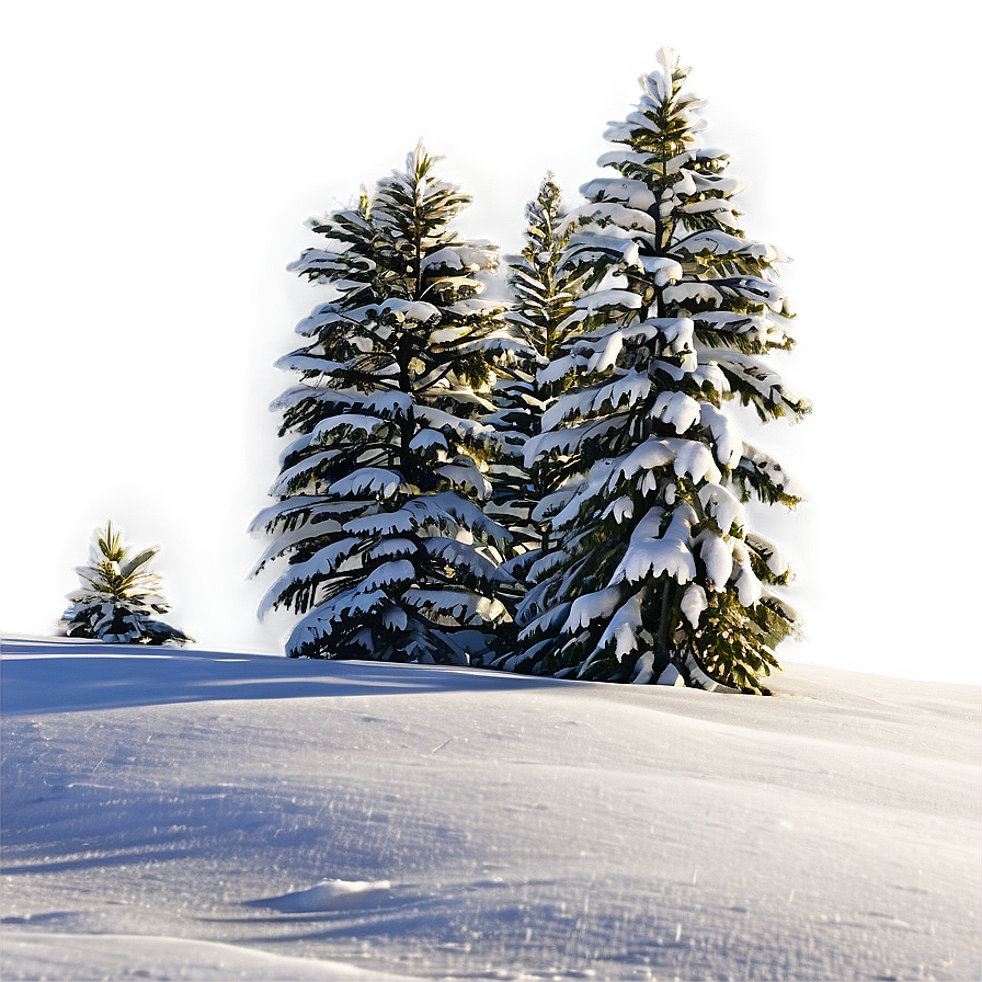 Spruce Tree In Snowy Landscape Png Udq72 PNG