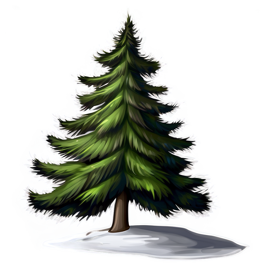 Spruce Tree Line Art Png 20 PNG