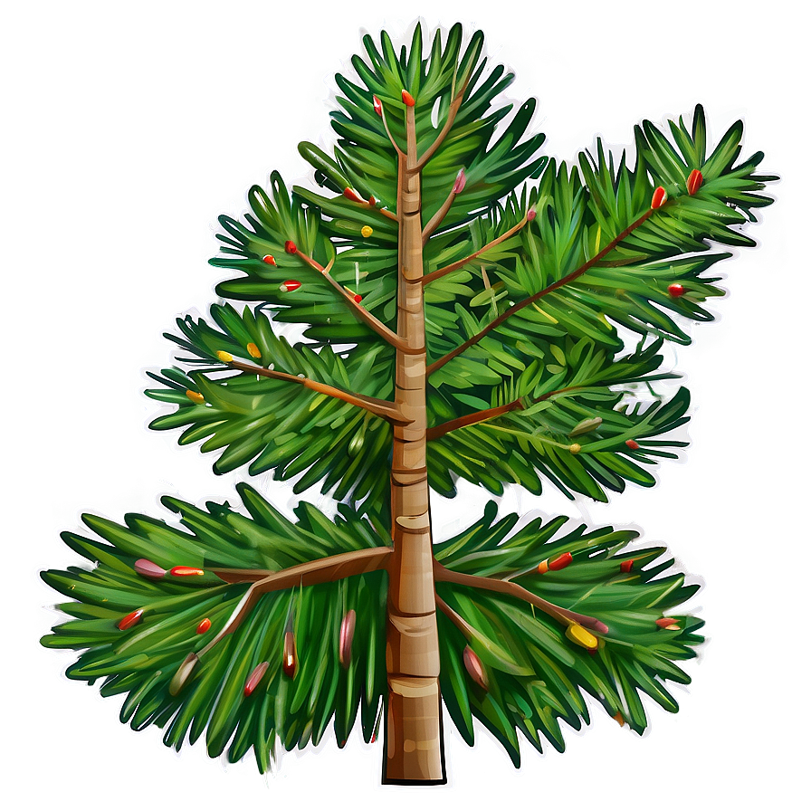 Spruce Tree Line Art Png Tku59 PNG