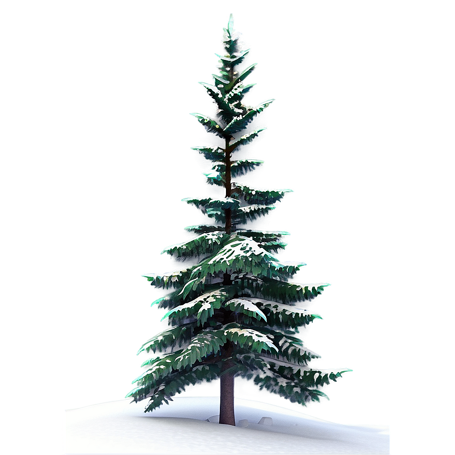 Spruce Tree On Hilltop View Png 1 PNG