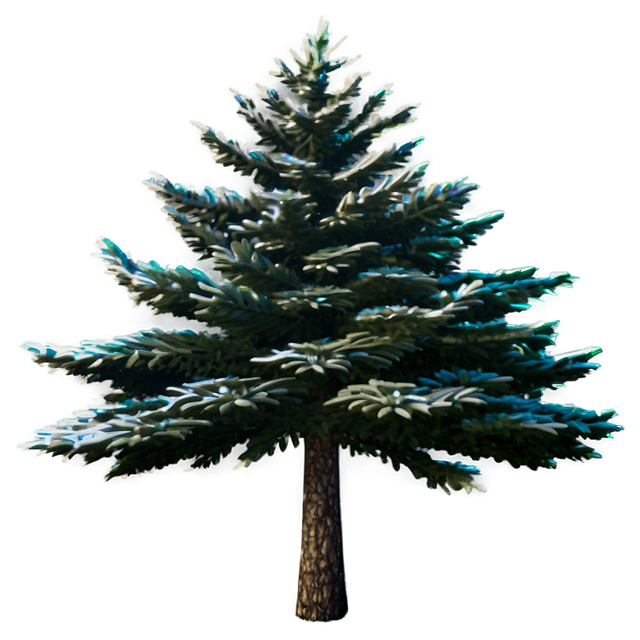 Spruce Tree Under Starry Sky Png 06132024 PNG
