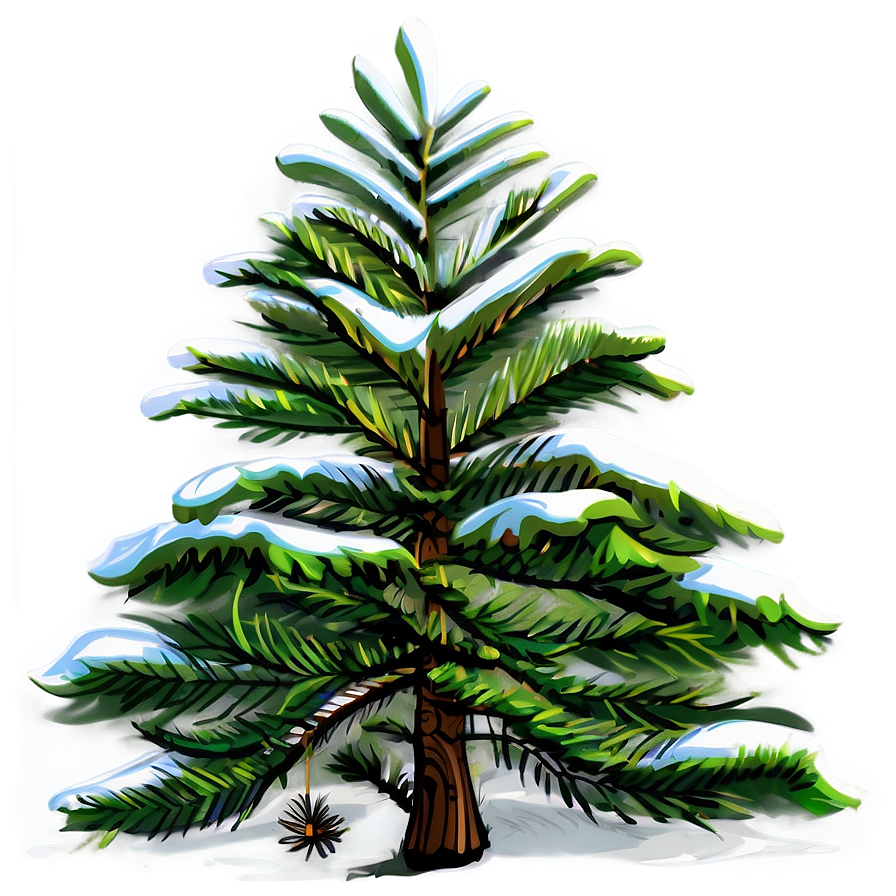 Spruce Tree Vector Outline Png 06132024 PNG