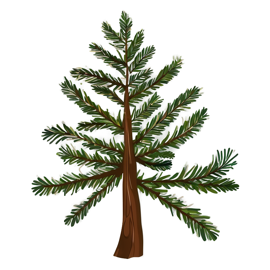 Spruce Tree With Birds Silhouette Png 06132024 PNG