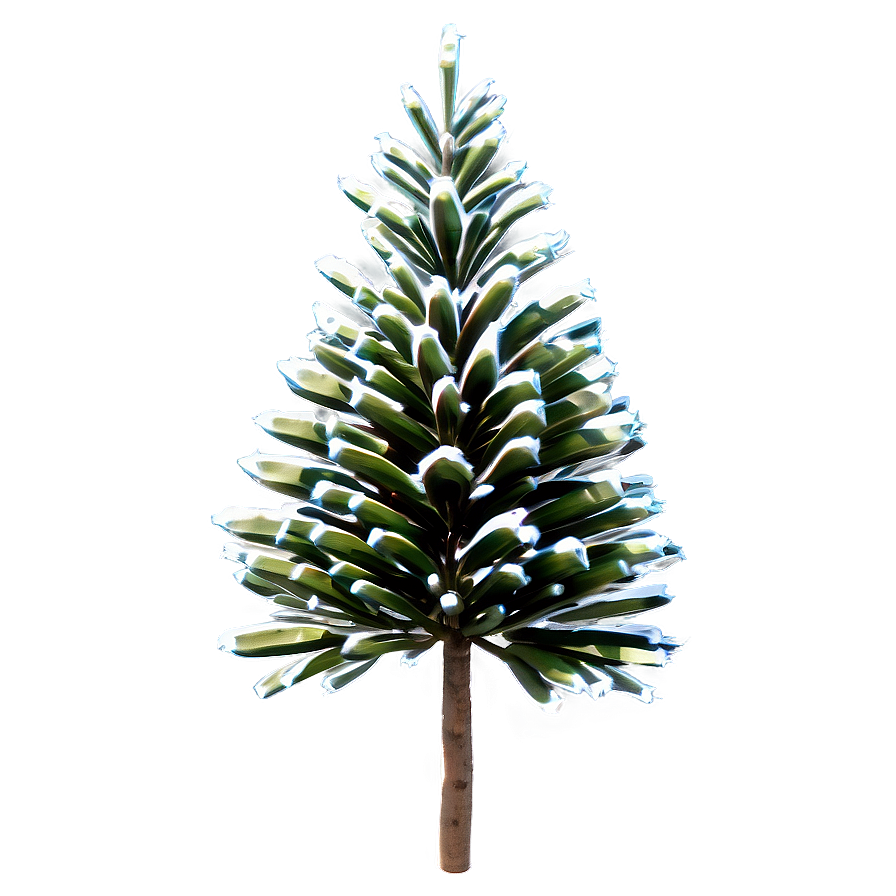 Spruce Tree With Cones Png Nik PNG