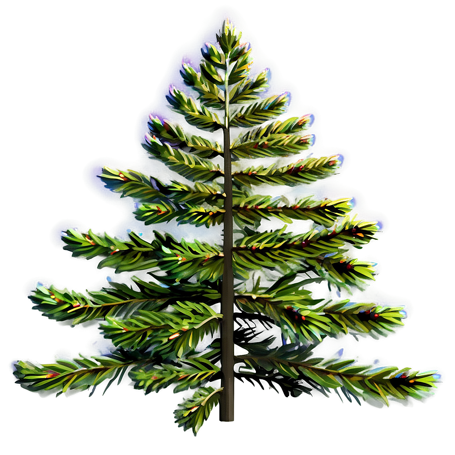 Spruce Tree With Rainbow Png Uxk21 PNG