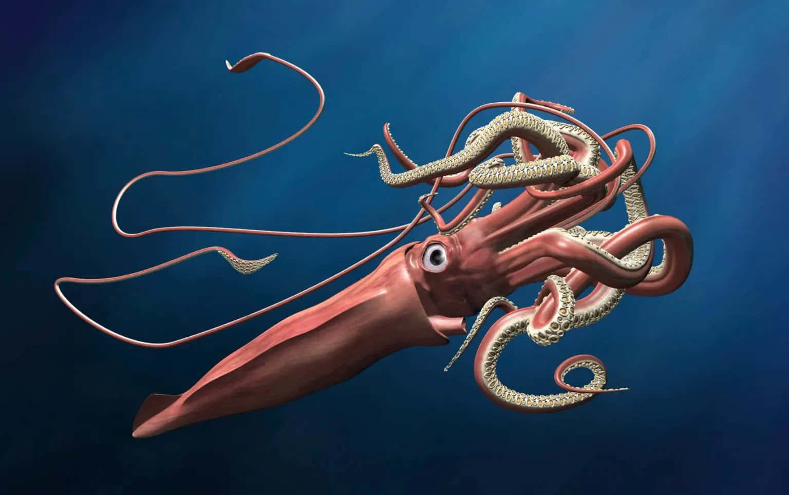 A Giant Squid Lurks in the Ocean Depths