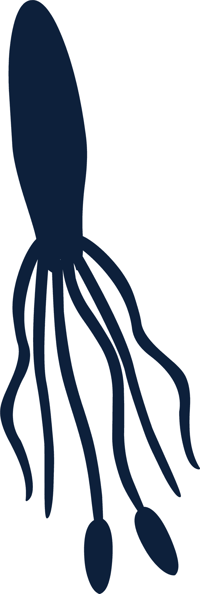 Squid Silhouette Graphic PNG