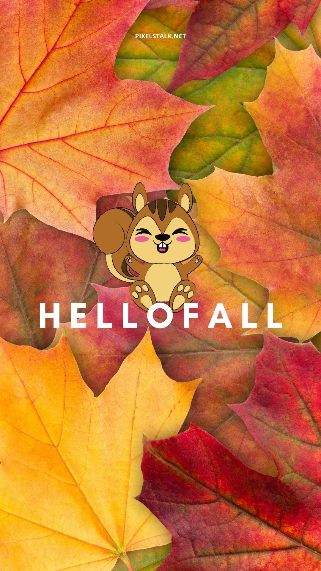 Squirrel Hello Fall IPhone Wallpaper