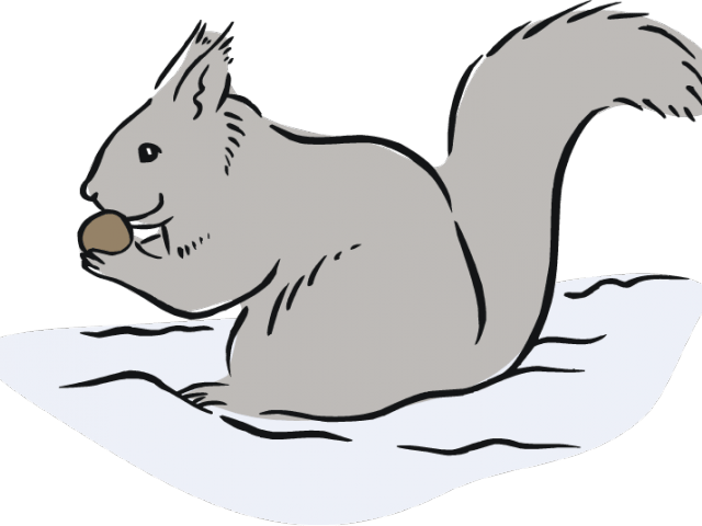 Squirrel Holding Acorn PNG